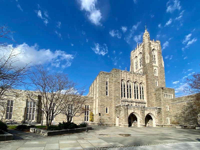 Firestone Library: A Temple of Knowledge Worth Visiting