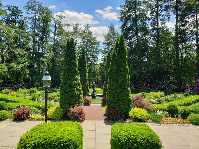 Prospect Garden: A Secret Blooming Escape