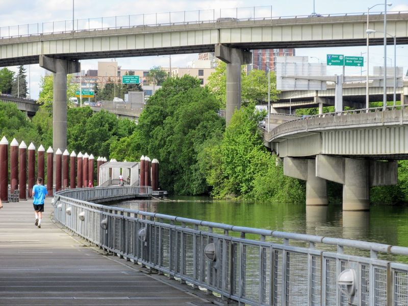 Native Plants and Riverside Greenery