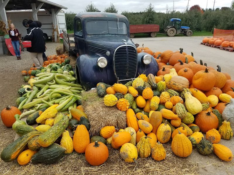 Scenic Photo Opportunities Around Every Corner