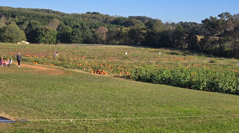 Hayrides That Slow Everything Down in the Best Way