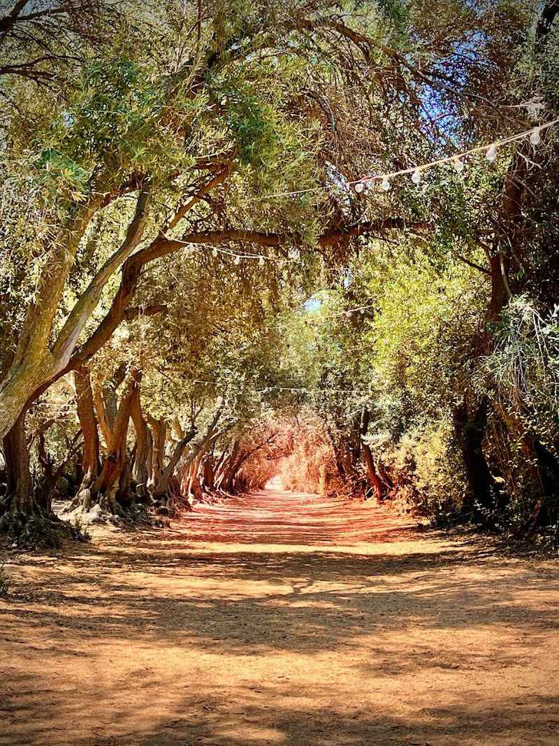 The Cherry Valley Setting Makes The Whole Place Hit Harder