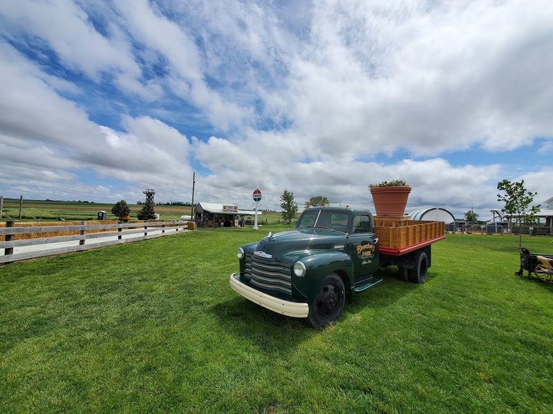 How To Keep The Day Chill, Parking, Tickets, And Pacing