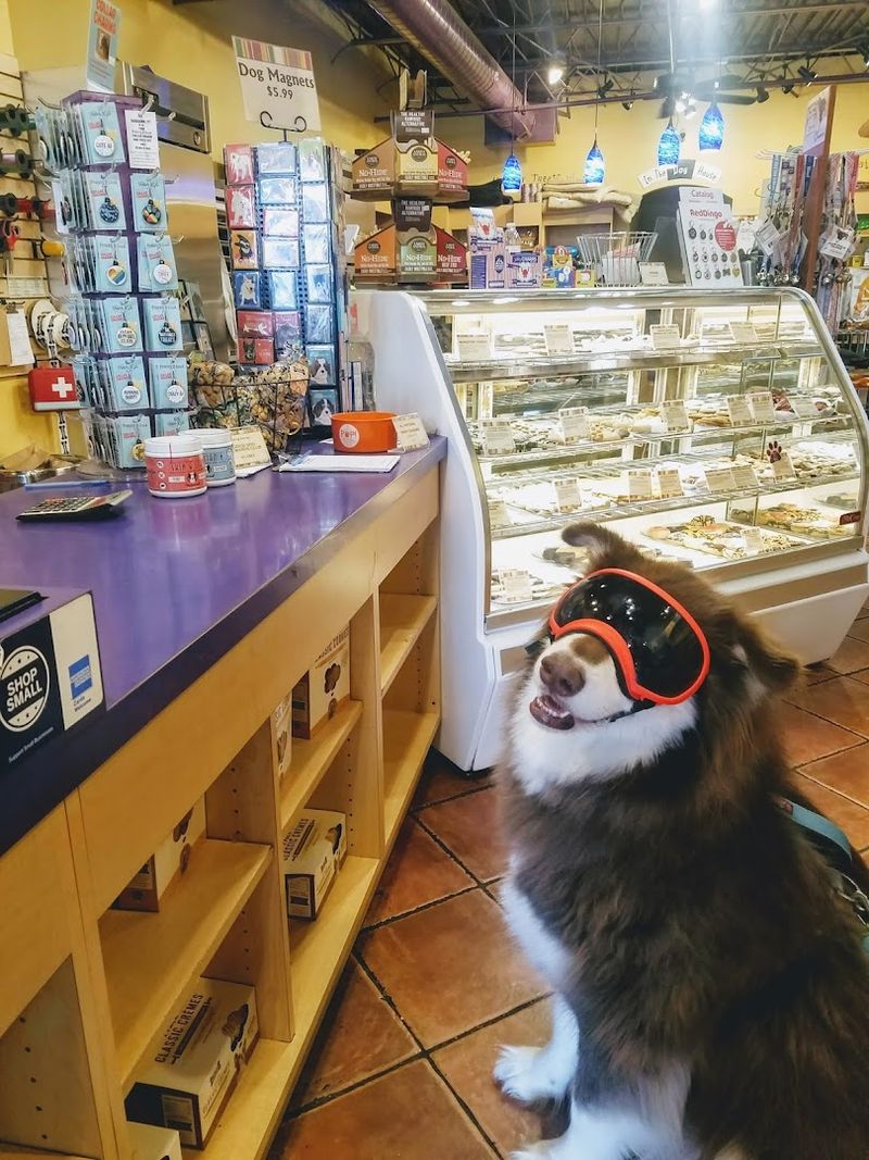 Why This Dog Bakery Has Become A Favorite Stop For Pet Owners