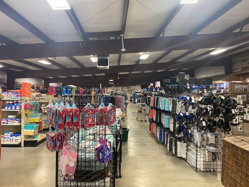 Equine Medical Supplies for the Health-Conscious Horse Owner