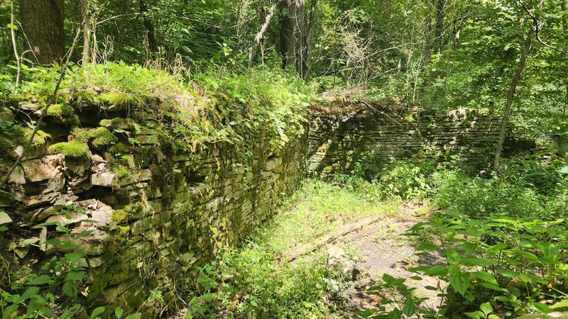 Remnants of a 19th-Century Grist Mill Along the Creek