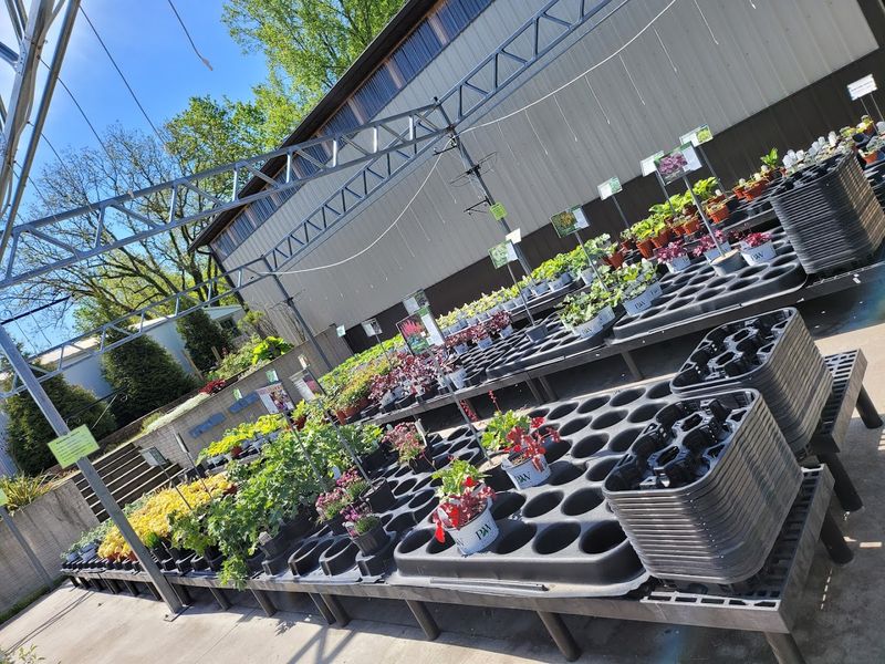 Flowers and Hanging Baskets That Outshine the Chain Store Competition