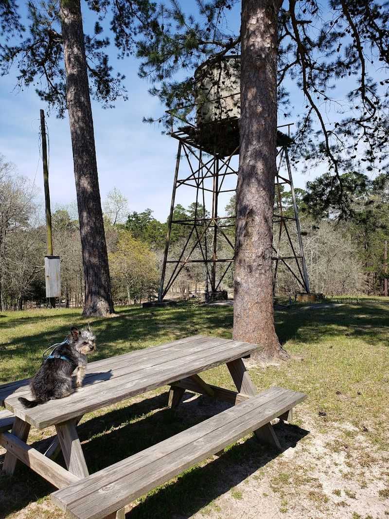 Facilities That Make Life Comfortable