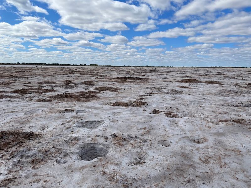 Salt Plains National Wildlife Refuge Selenite Crystal Digging Area