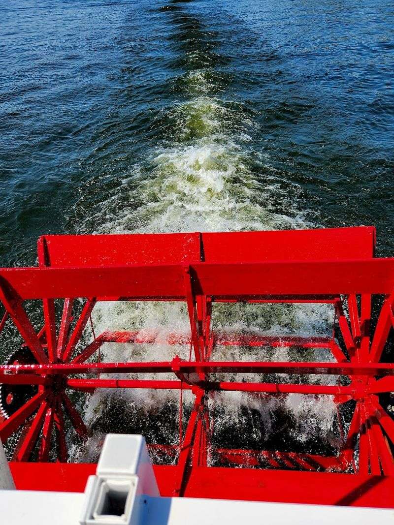 Special Events That Turn a Cruise Into a Celebration