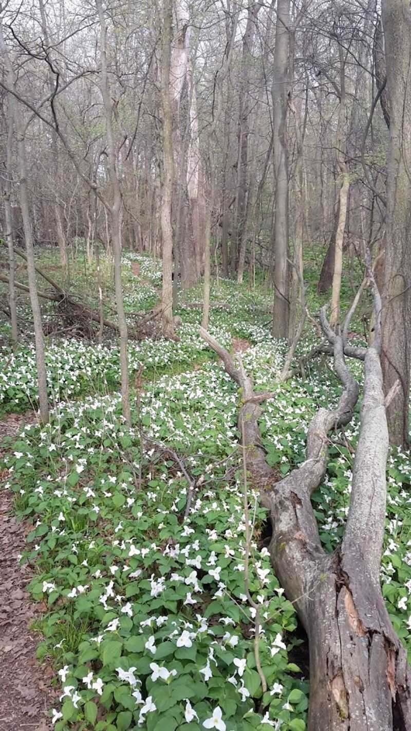 Wildlife and Wildflowers That Make Every Season Worth a Visit