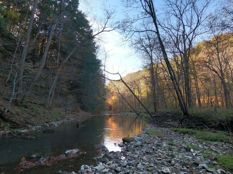 Wildlife Sightings That Make Every Visit Feel Unpredictable