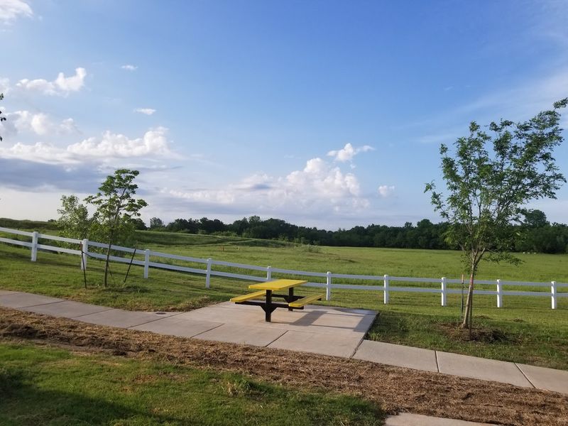 What Residents Can Do Right Now