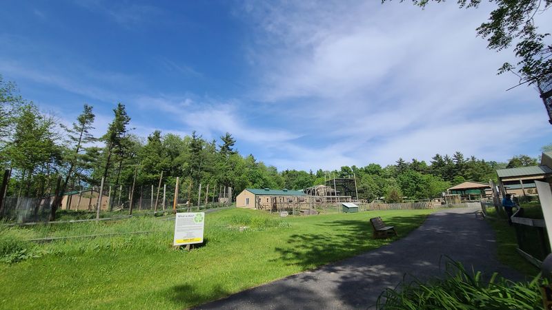 Natural Habitats Designed Around Animal Comfort