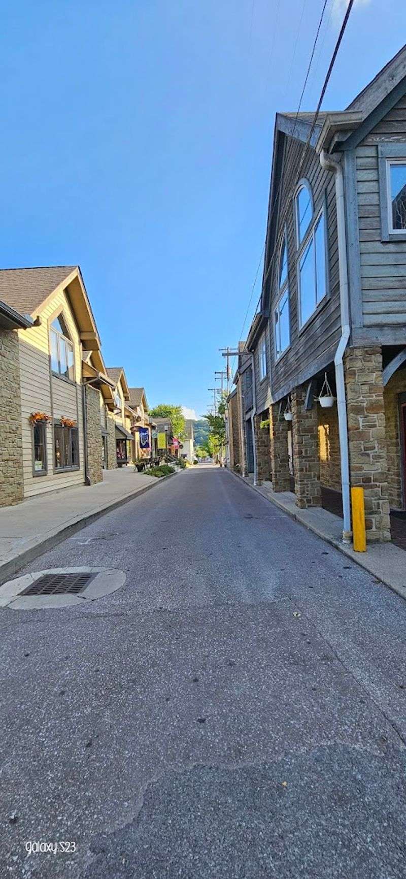 Educational Programs That Make Conservation Click for Kids