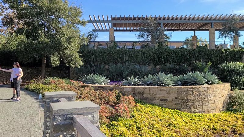 Lula Mae Slaughter Dining Terrace: Skyline Views and Spring Air