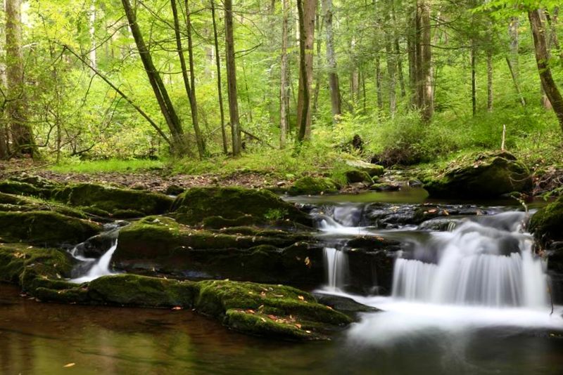 Lower Van Campens Glen Falls: The Deep-Pool Showstopper