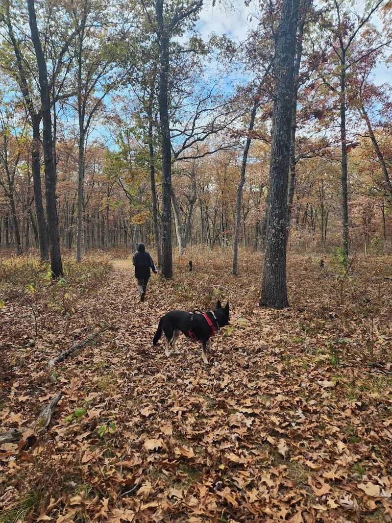 A Ghost Town Hidden Beneath the Oaks