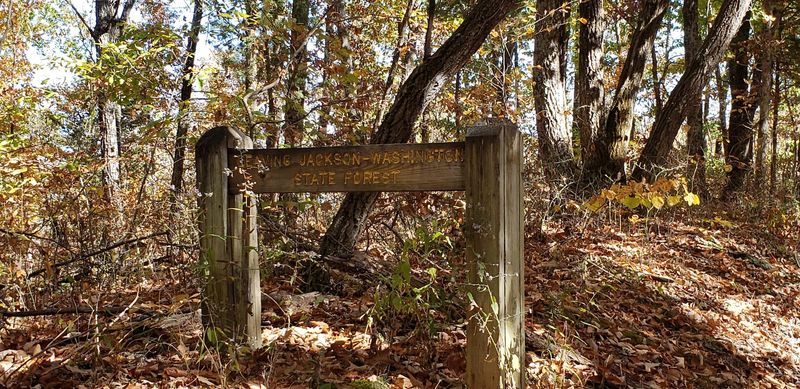 A Deep History That Stretches Back Decades