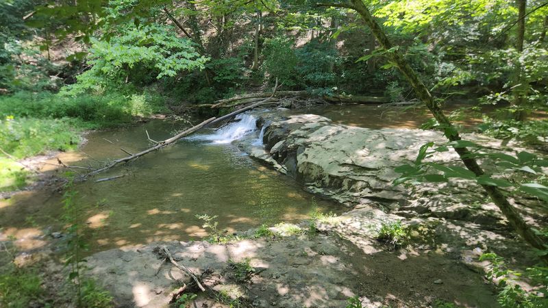 A Family-Friendly and Dog-Friendly Trail Worth Exploring Together