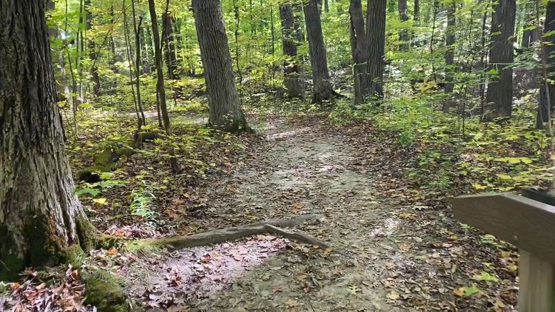 Mnoké Prairie Brings Pre-Settlement Indiana Back to Life