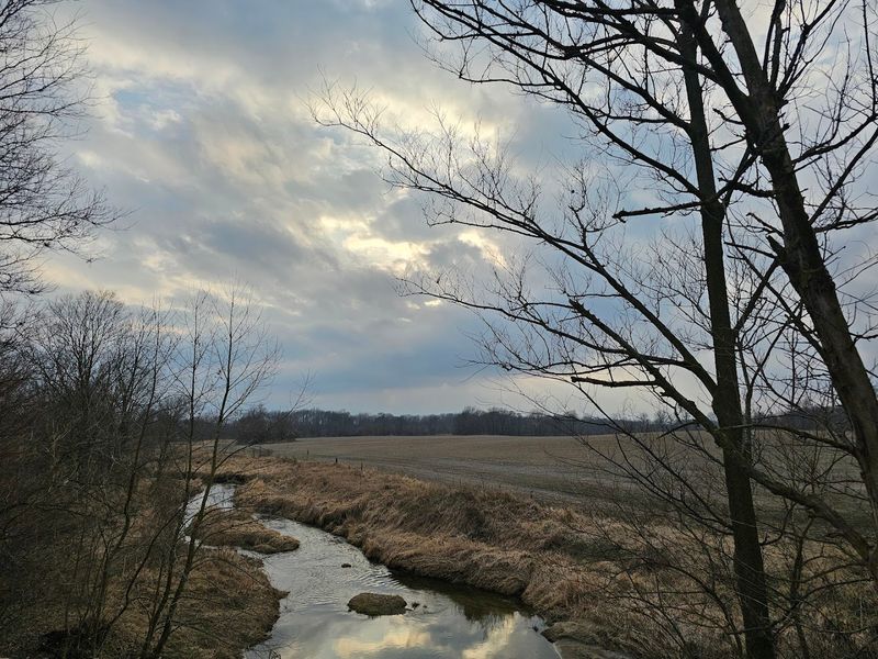 Five Creek Crossings That Keep the Scenery Changing