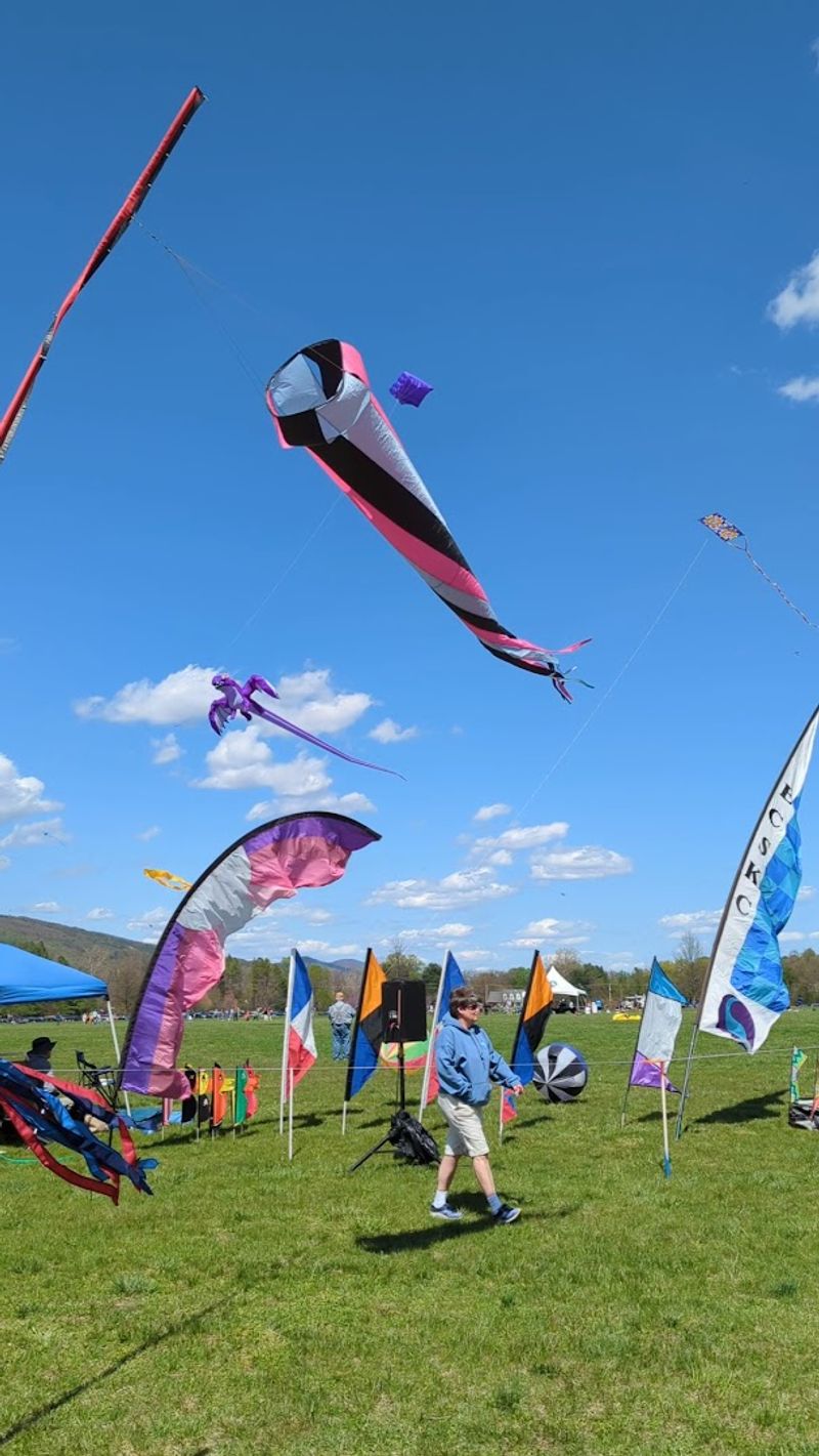 Free Kites for Everyone: United Healthcare's Sky-High Surprise