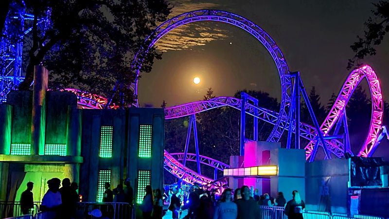 Seasonal Events That Keep the Park Fresh All Year