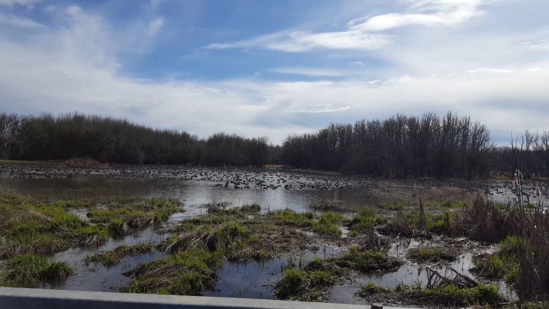 William L. Finley National Wildlife Refuge, Corvallis, Oregon