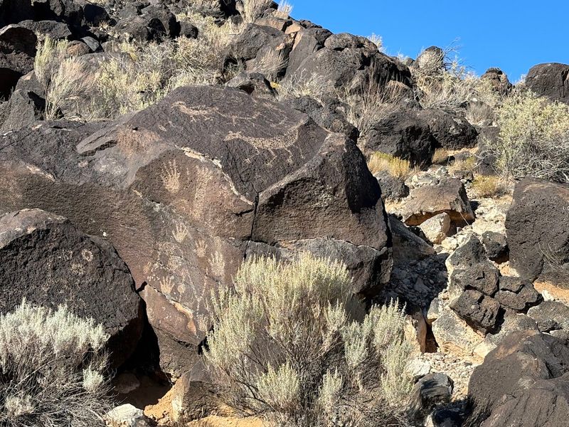 Piedras Marcadas Canyon (Petroglyph National Monument) 