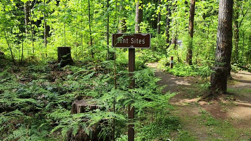 Camping Right at the Edge of the Action