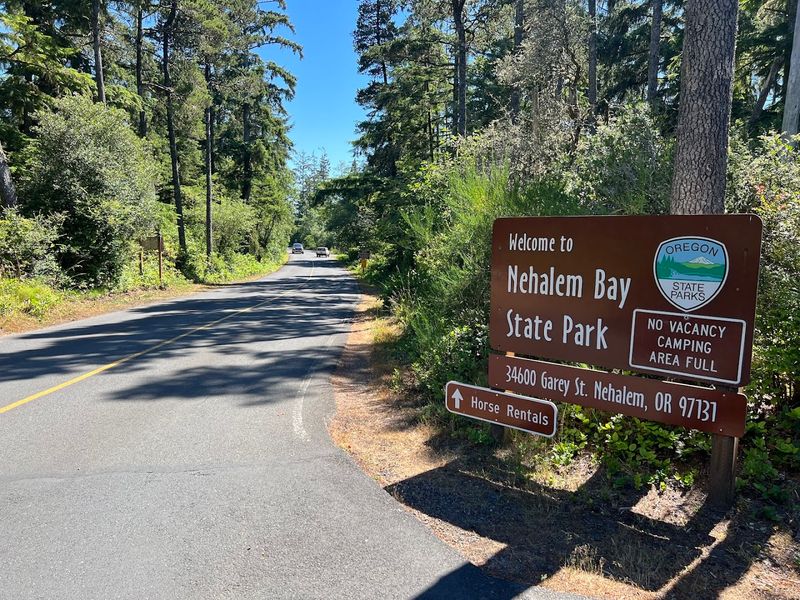 Nehalem Bay State Park