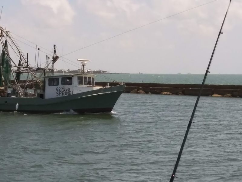 Fishing for Redfish, Trout, and More