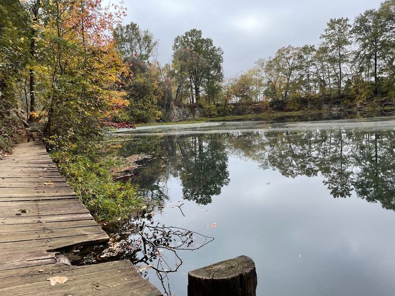 Wildlife Sightings That Catch You Completely Off Guard