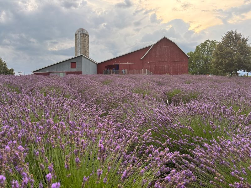 Why This Place Feels More Like A Mini Escape Than A Farm