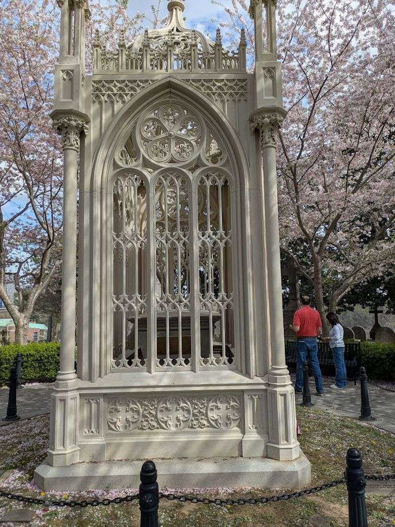 Cherry Blossoms Transform Spring Visits