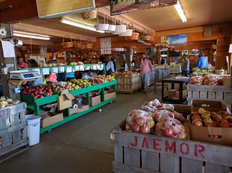 Fresh Fruit Harvested Straight From North Georgia Fields
