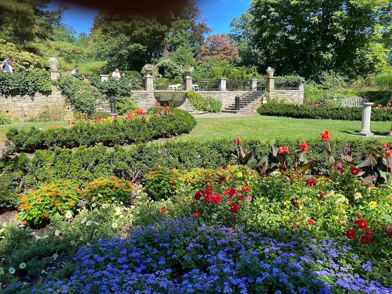 Seasonal Blooms That Change Everything About Each Visit