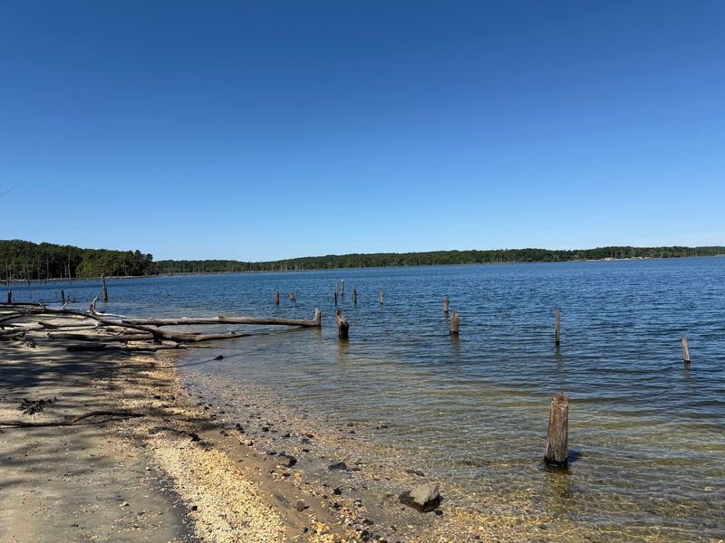 Manasquan Reservoir (Monmouth County)