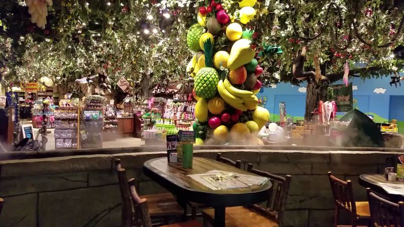 Rainforest Café Breaks Up The Day With A Theme-Meal Detour