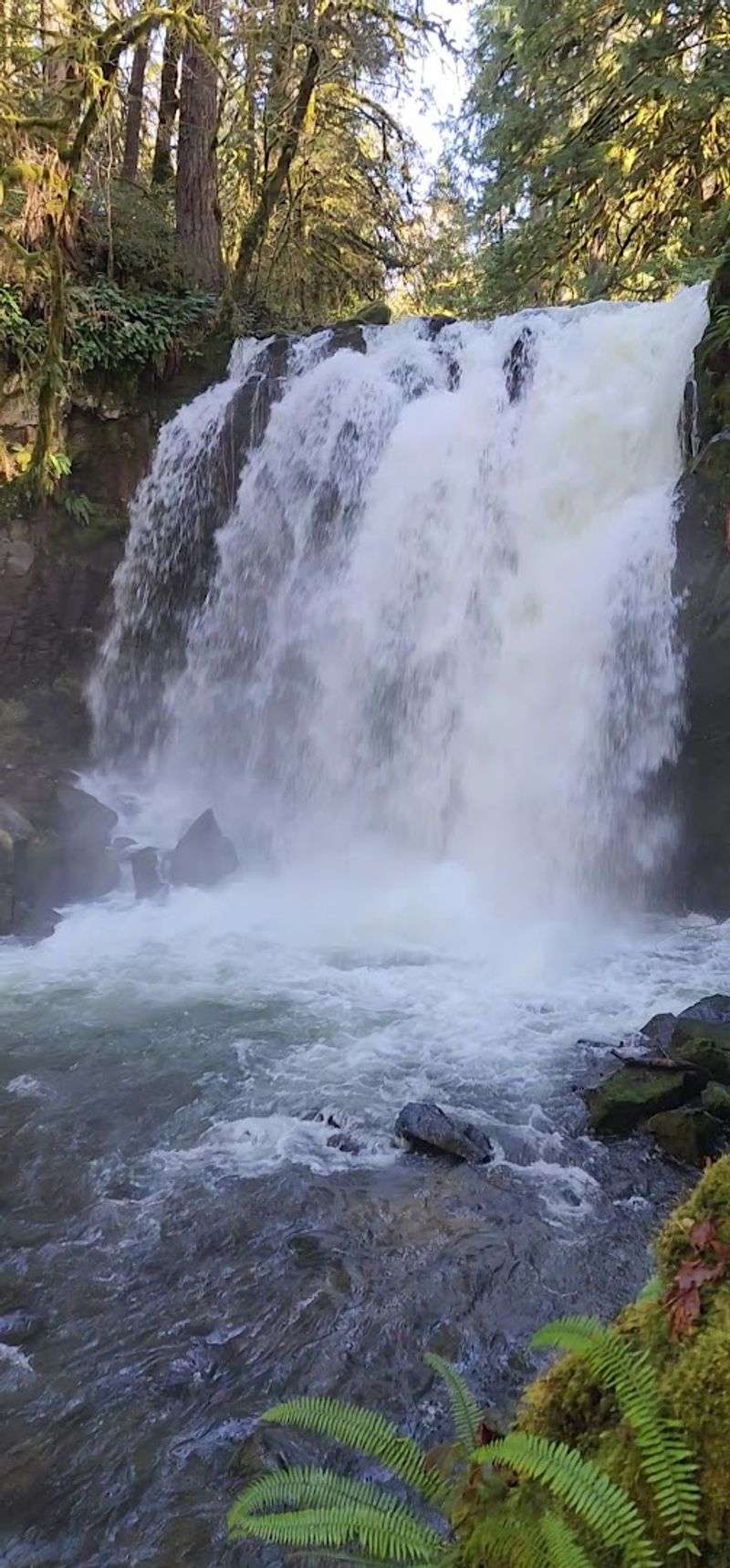 Majestic Falls: The Name Actually Fits
