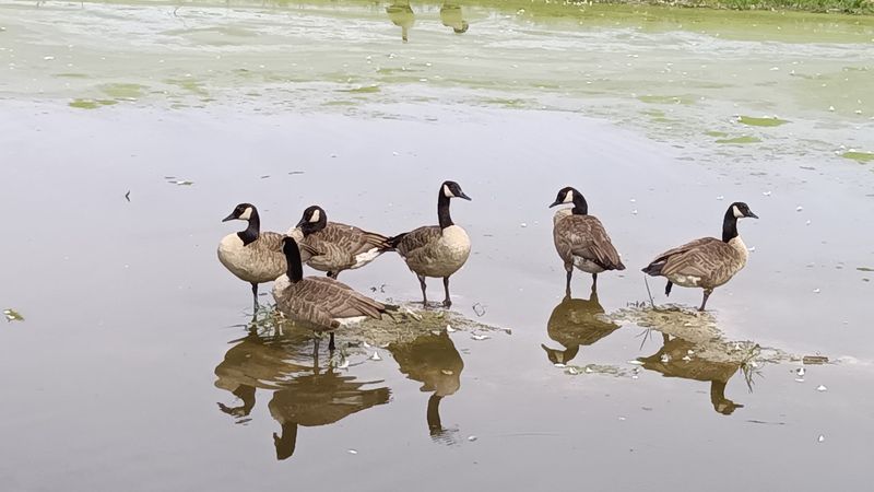 Wildlife and Birding in an Unexpected Hotspot