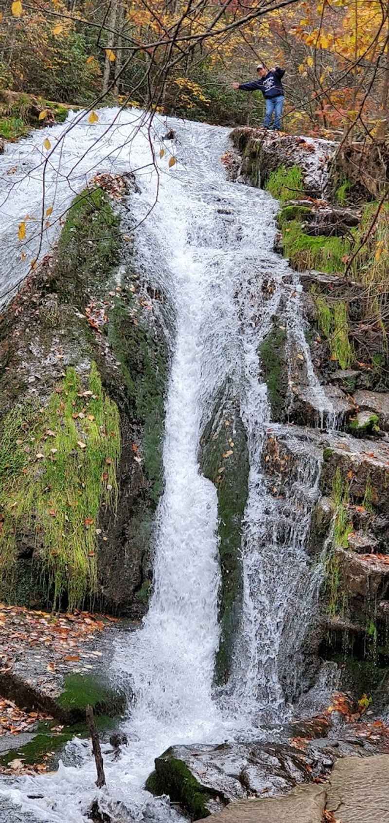 Trout Fishing in a Native Stream