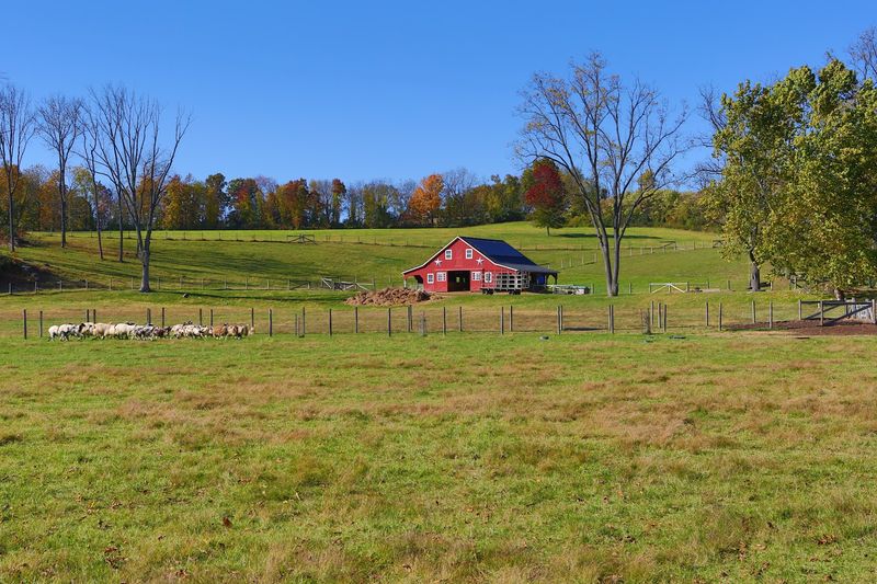 Scenic Paths Through Quiet Warren County Countryside