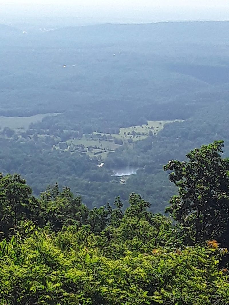 The Shenandoah Valley Views: Scenery That Stops You Mid-Air