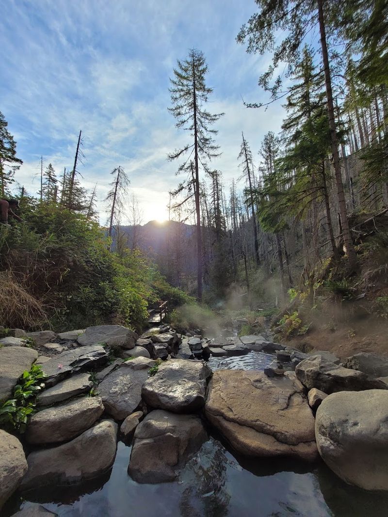 The Natural Setting Around The Springs