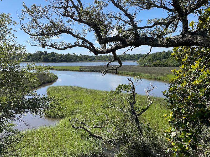 Davis Bayou Trails, Easy Miles With Wildlife Chances