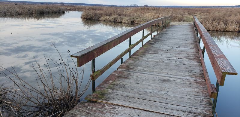 Accessible Trails and Boardwalks Built for Every Type of Visitor
