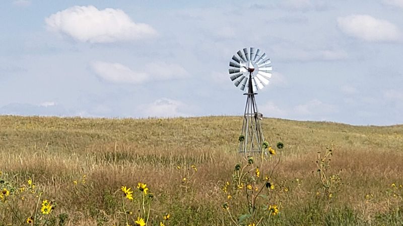 Spring Timing That Keeps The Whole Place Calm
