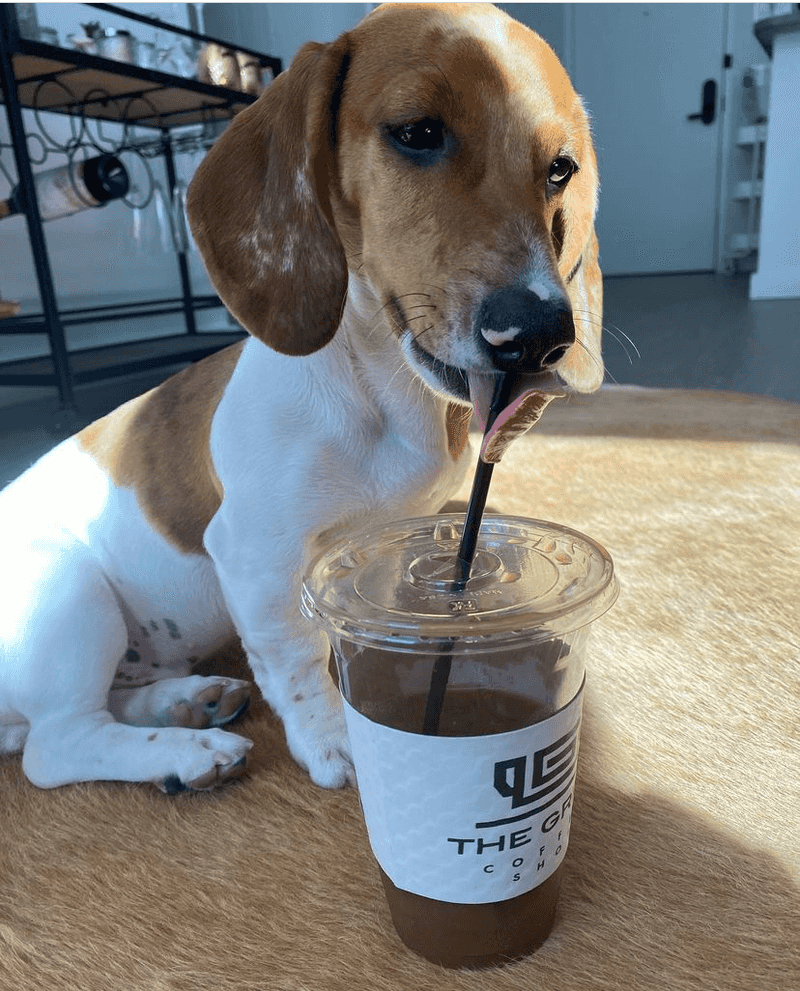 A Spot That Celebrates Its Community